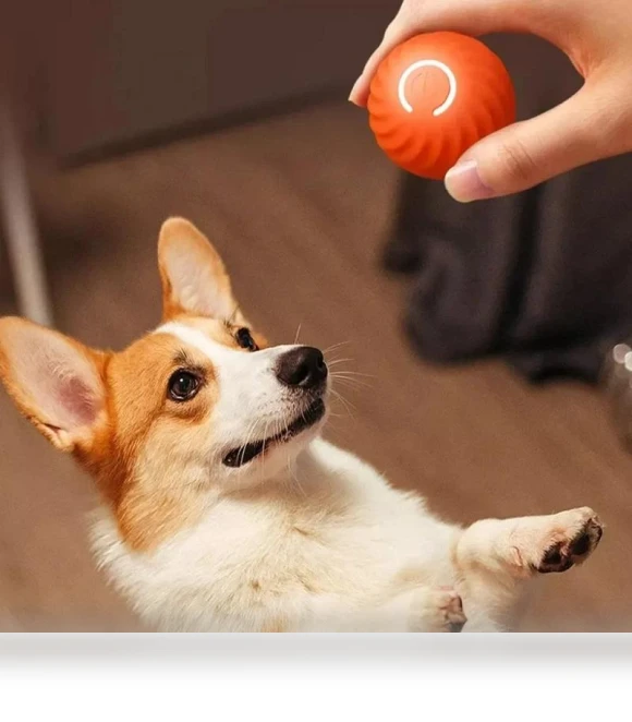 Automatic Moving Jumping Rolling Smart Ball Toy — Balls, Home Furnishing Department Mall