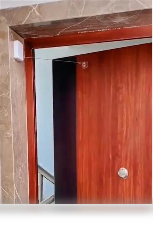 Automatic Touchless Door Closer — Door Closers, d1FMqmGESqJgSV