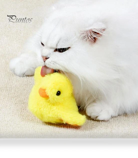 Flapping Wings Duck Cat Toy — Interactive, Pet park