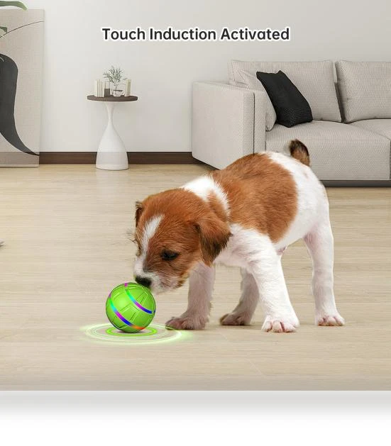 Interactive Dog Ball Toy — Balls, Love Pet House