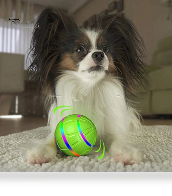 Interactive Dog Toy Ball — Balls, Pet park