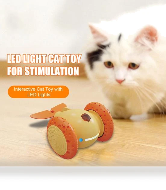 Interactive Cat Toy — Cat Playthings, All in Watch