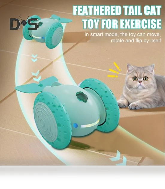 Interactive Cat Toy — Cat Playthings, Kitty Cat House