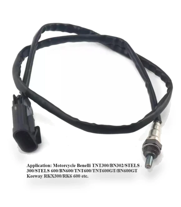 Oxygen Sensor — Exhaust Gas, Forest Sunshine Home