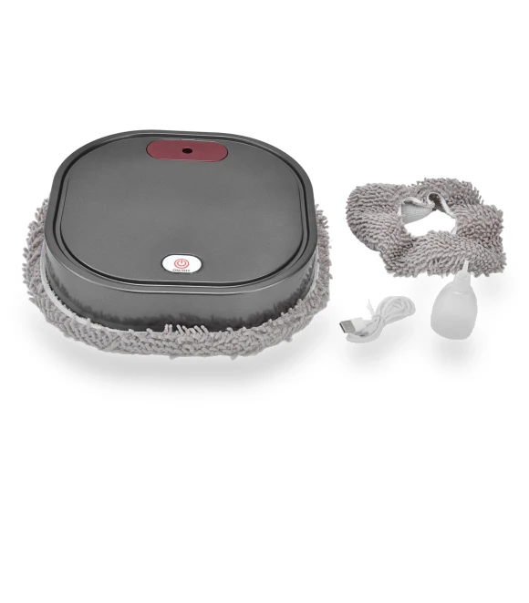 Intelligent Wet Dry Dual Spray Floor Cleaning Robot Vacuum — Smart Cleaning Robots, CosyHome
