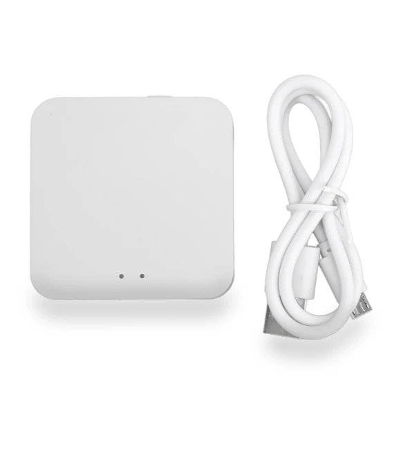 Mini Wireless Gateway for Smart Home Controller — Smart Home Hubs & Controllers, Neoglint