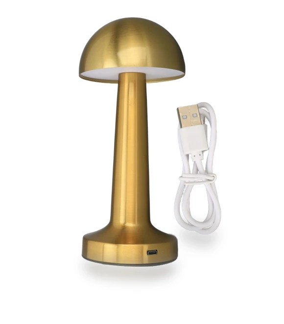 Portable Desk Lamp with 3 Color Temperatures — Study & Desk Lighting, GoolRC