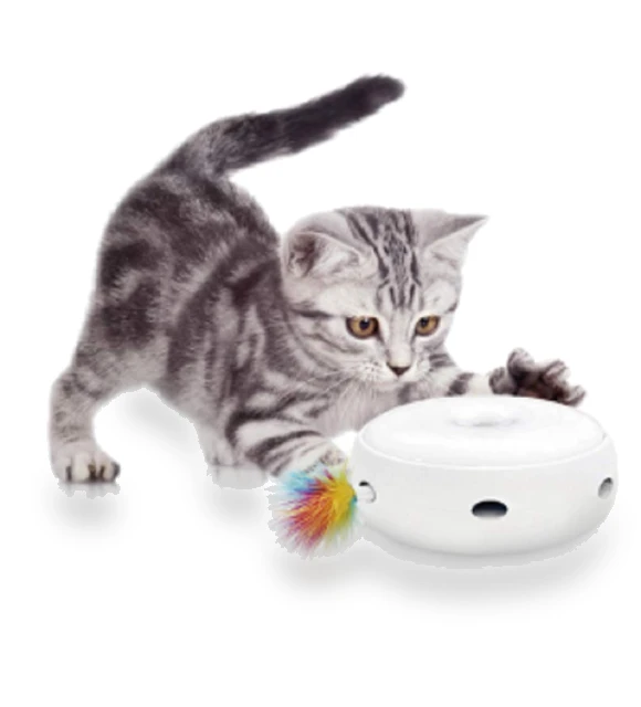 Electric Automatic Cat Ball — Cat Playthings, TOKYO selection