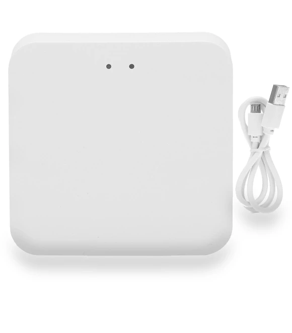 Smart Gateway Hub Home Bridge — Smart Home Hubs & Controllers, Neoglint