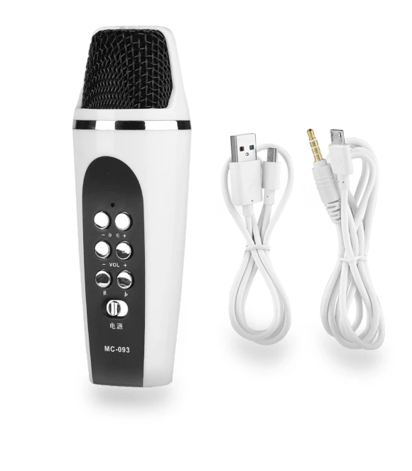 Mini 4-Mode Voice Changer Microphone — Spy Gadgets, OutsideWorld