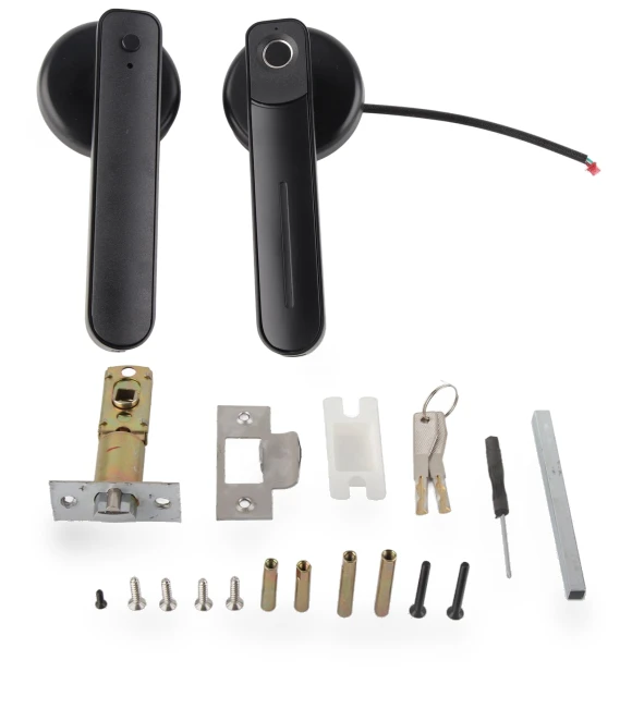 Smart Door Handle with Biometric Fingerprint — Biometric Security, GoolRC