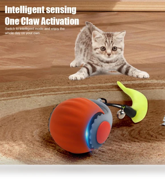Interactive Cat Toy Ball — Cat Playthings, Boyhood