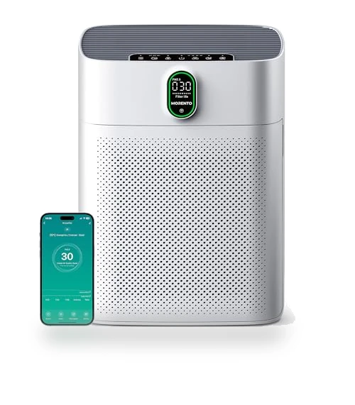 Air Purifier for Large Rooms — HEPA Air Purifiers, EZBASICS