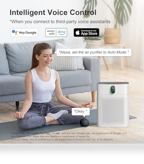 Air Purifier for Large Rooms — HEPA Air Purifiers, EZBASICS