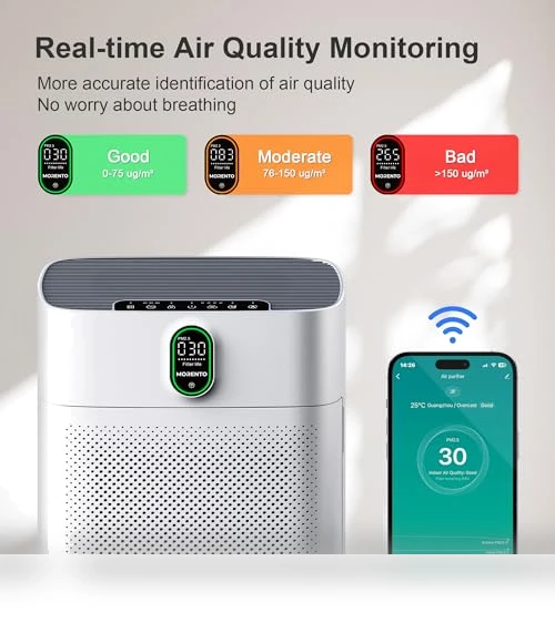Air Purifier for Large Rooms — HEPA Air Purifiers, EZBASICS