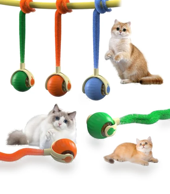 Interactive Cat Toy Ball — Cat Playthings, yangyizhi