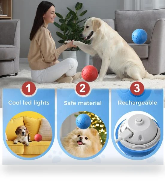 Interactive Pet Ball Toy — Interactive Animal Companions, DODO Beauty
