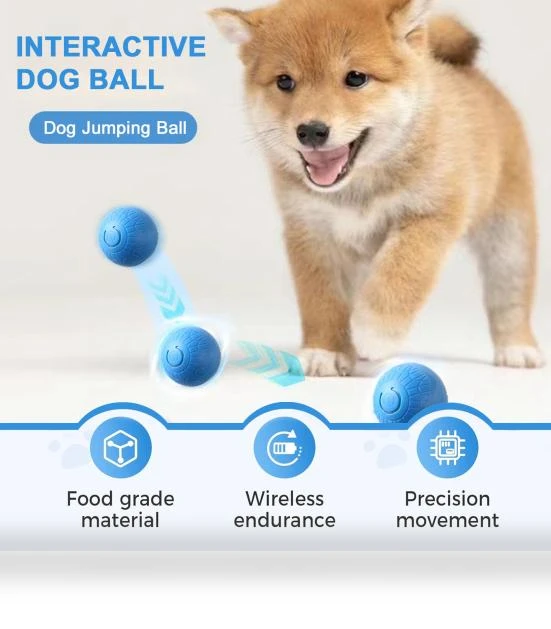 Interactive Smart Ball for Pets — Interactive Animal Companions, JoyJive