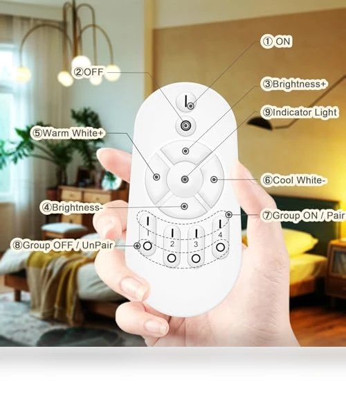 LED Remote Control Light Bulbs — LED, ORALUCE
