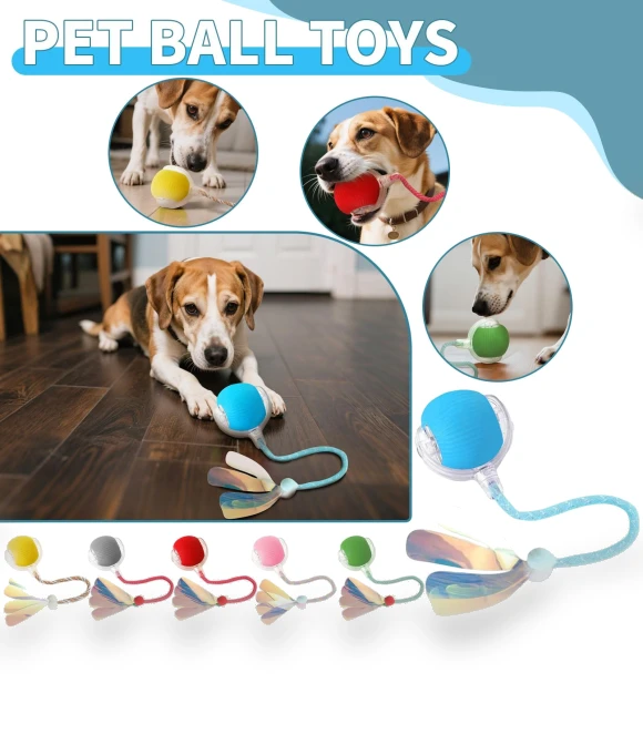 Interactive Rolling Ball Pet Toy — Interactive Animal Companions, Choose one