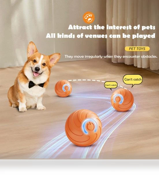 LED Pet Rolling Ball — Interactive Animal Companions, BestDealJoy