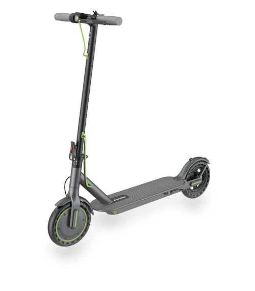 Electric Scooter — Electric Self-Balancing Scooters, Roinside