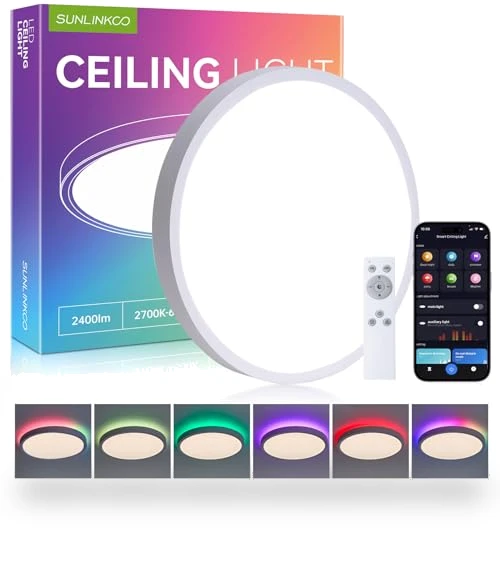 Flush Mount Ceiling Light — Overhead Lighting
