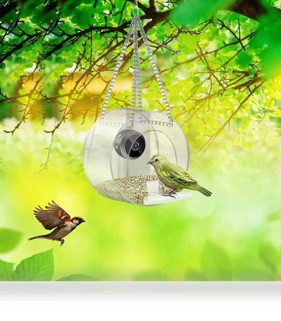 Smart Bird Feeder with Night Vision Camera — Outdoor & Wildlife Cameras, I love My Pet