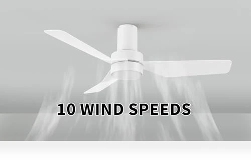 Smart Low Profile Ceiling Fan with Lights — Ceiling Fans, Carro