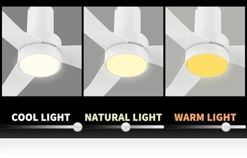 Smart Low Profile Ceiling Fan with Lights — Ceiling Fans, Carro