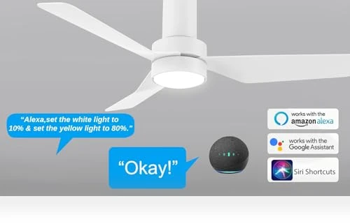 Smart Low Profile Ceiling Fan with Lights — Ceiling Fans, Carro