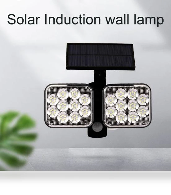 Solar Power Sensor Light — Garden Illumination, Blackcurrant