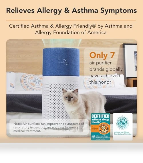 Air Purifier for Large Room — HEPA Air Purifiers, CLEANFORCEAIR