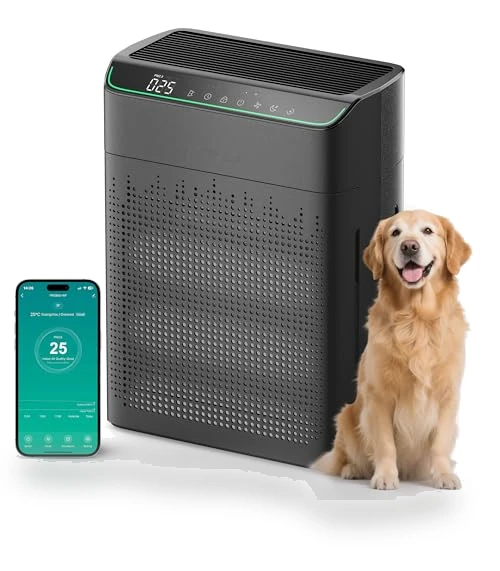 Smart Air Purifier — Activated Carbon Air Purifiers, FLANUR