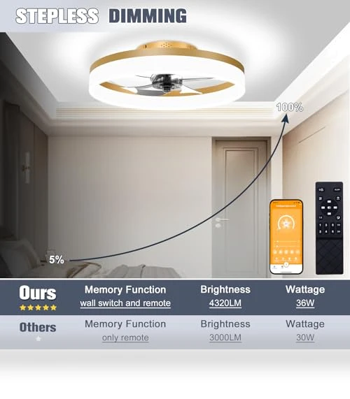 Low Profile Ceiling Fan with Lights and Remote — Ceiling Fan Lighting Solutions, VOLISUN