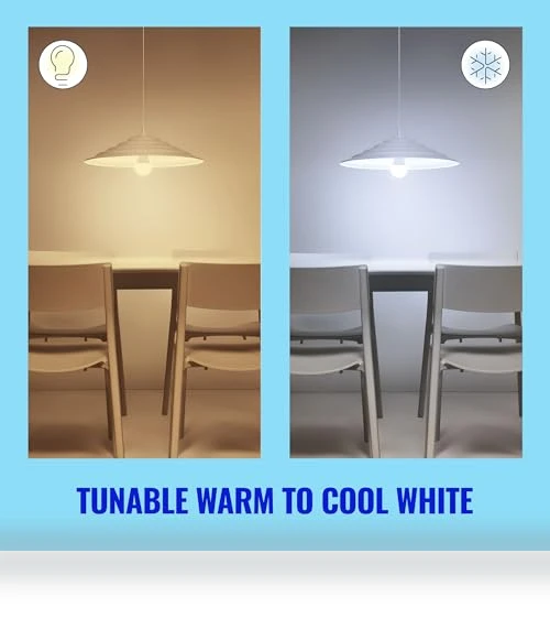 A19 LED Smart Light Bulb Tunable White — Smart Home Modules, WiZ Connected