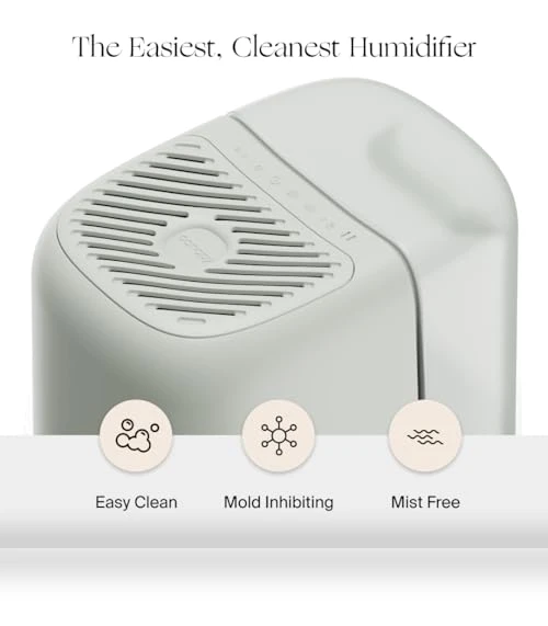 Bedside Humidifier — Air Moisturizers, Canopy