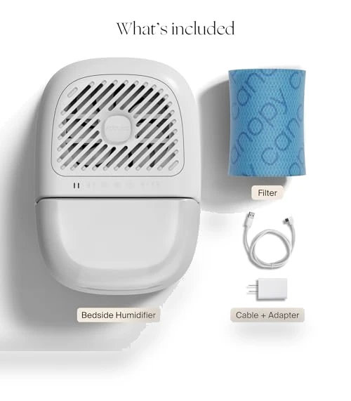 Bedside Humidifier — Air Moisturizers, Canopy