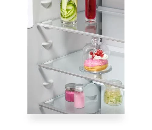 Built-in fridge-freezer — Cooling Solutions, AEG