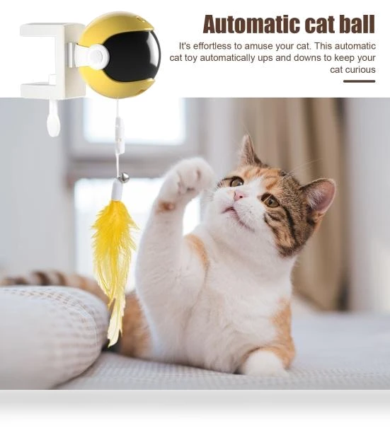 Door Hanging Electric Cat Feather Toy — Cat Playthings, Hot Women