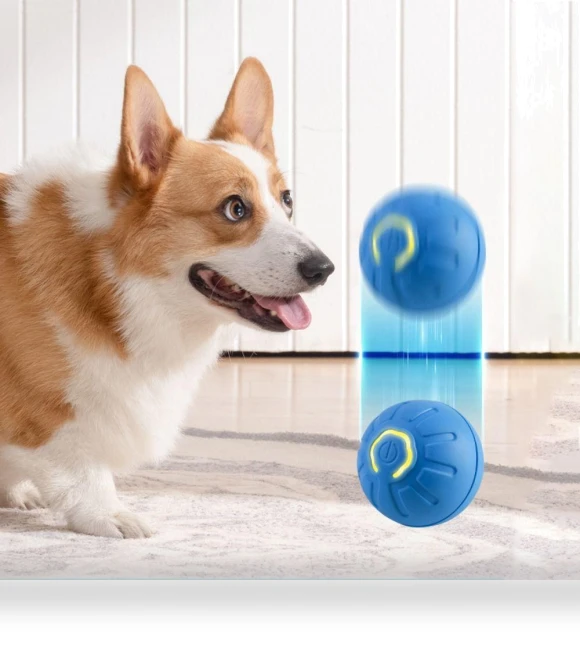 Gravity-Powered Jump Balls for Dogs — Balls, Jinkuinduy