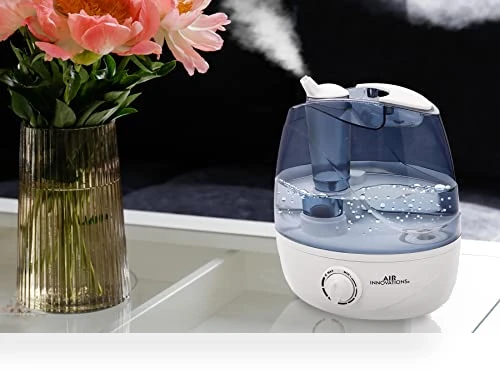 Ultrasonic Bedroom Humidifier — Air Moisturizers, Air Innovations