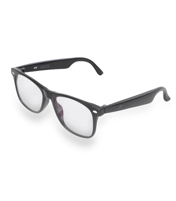 AI Translator Glasses — Smart Glasses, Begetting