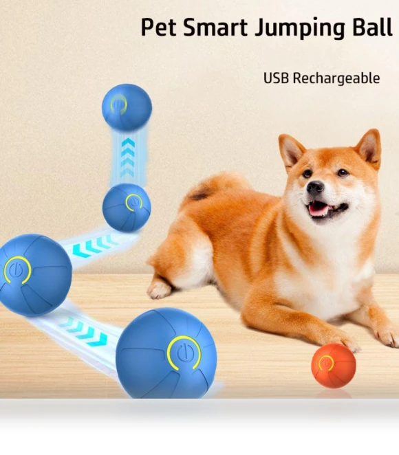 Rechargeable Smart Ball for Dogs — Balls, Renran