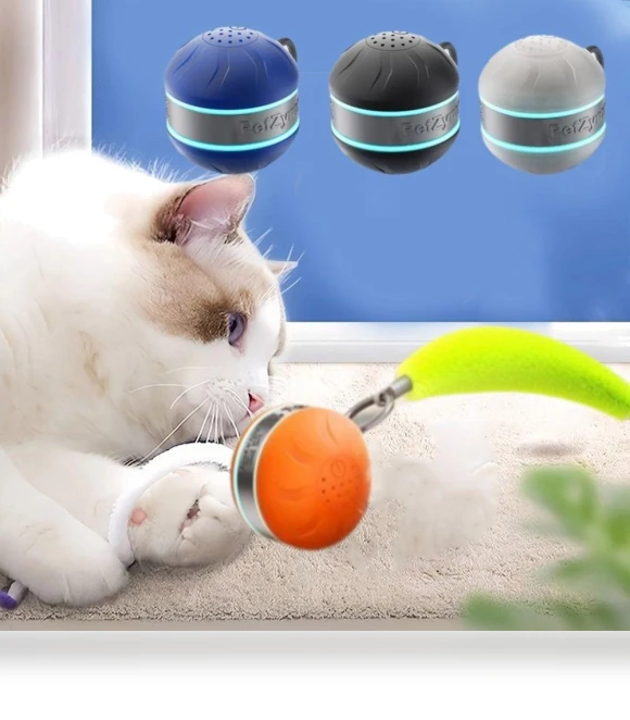 USB Rechargeable Cat Interactive Ball Rotating Smart Kitten Chewing Toy — Cat Playthings, Zhonghefu