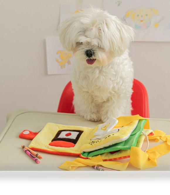 Interactive Dog Toy with Sound and Hidden Treat — Toys