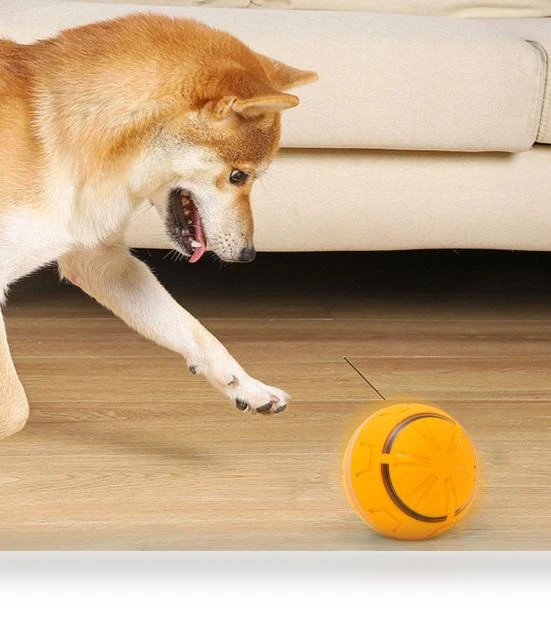 Electric Rolling Ball Toy for Dogs — Automatic Launchers, Pet park