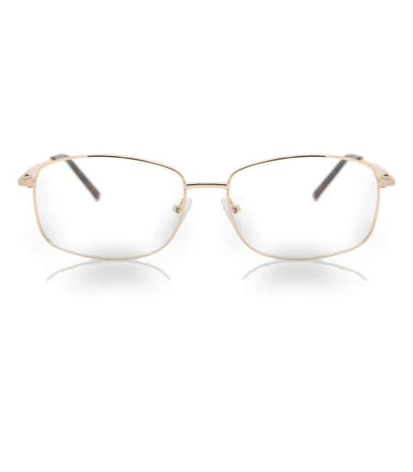 Full Rim Square Gold Fashion Unisex Eyeglasses — Smart Glasses, SmartBuy Collection