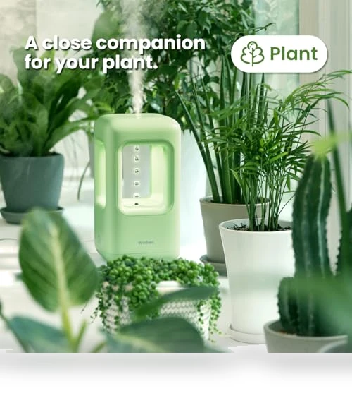 Mini Humidifier — Air Moisturizers, Winben