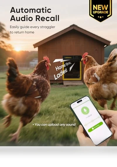 Automatic Chicken Coop Door — Poultry Hydration Solutions, LARKBIRD
